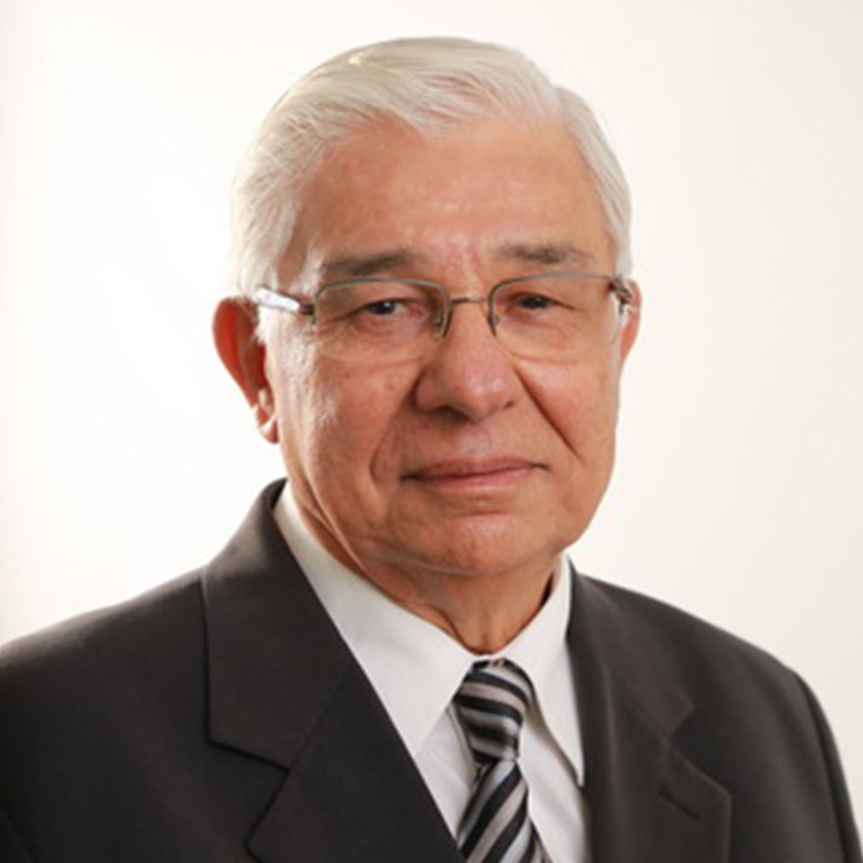 Silvino Gonçalves Neto - Emérito